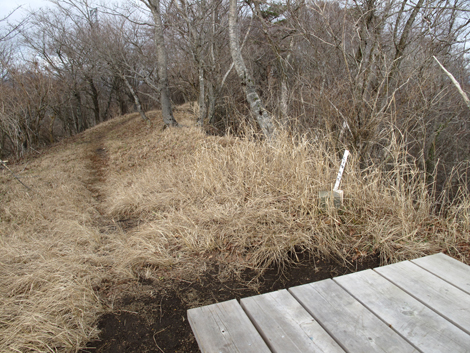 20181205hike (266)